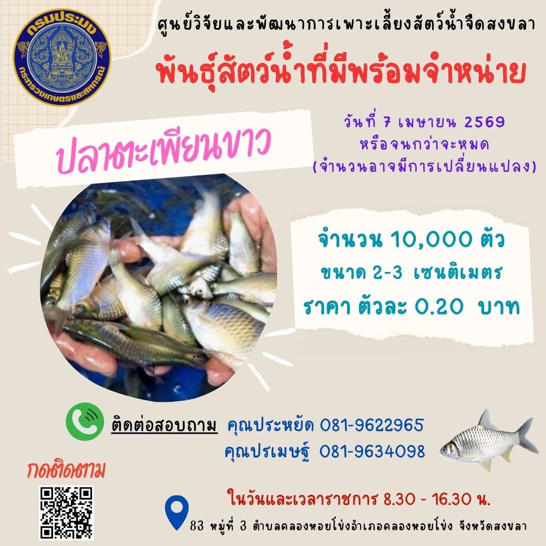 พันธุ์สัตว์น้ำพร้อมจำหน่าย