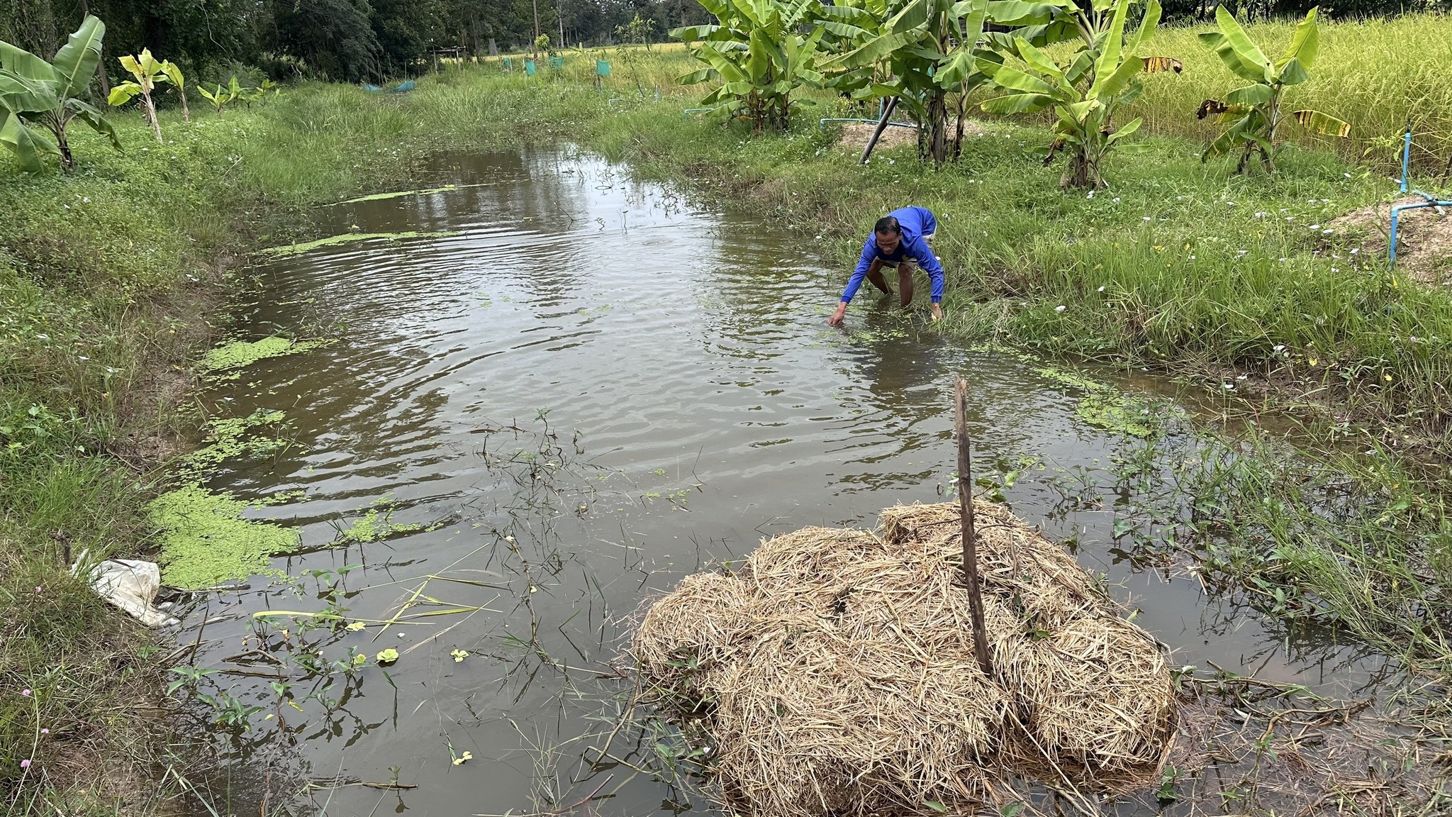 สำนักงานประมงจังหวัดศรีสะเกษ ลงพื้นที่ติดตามเกษตรกร โครงการส่งเสริมอาชีพ (Zoning by Agri map)