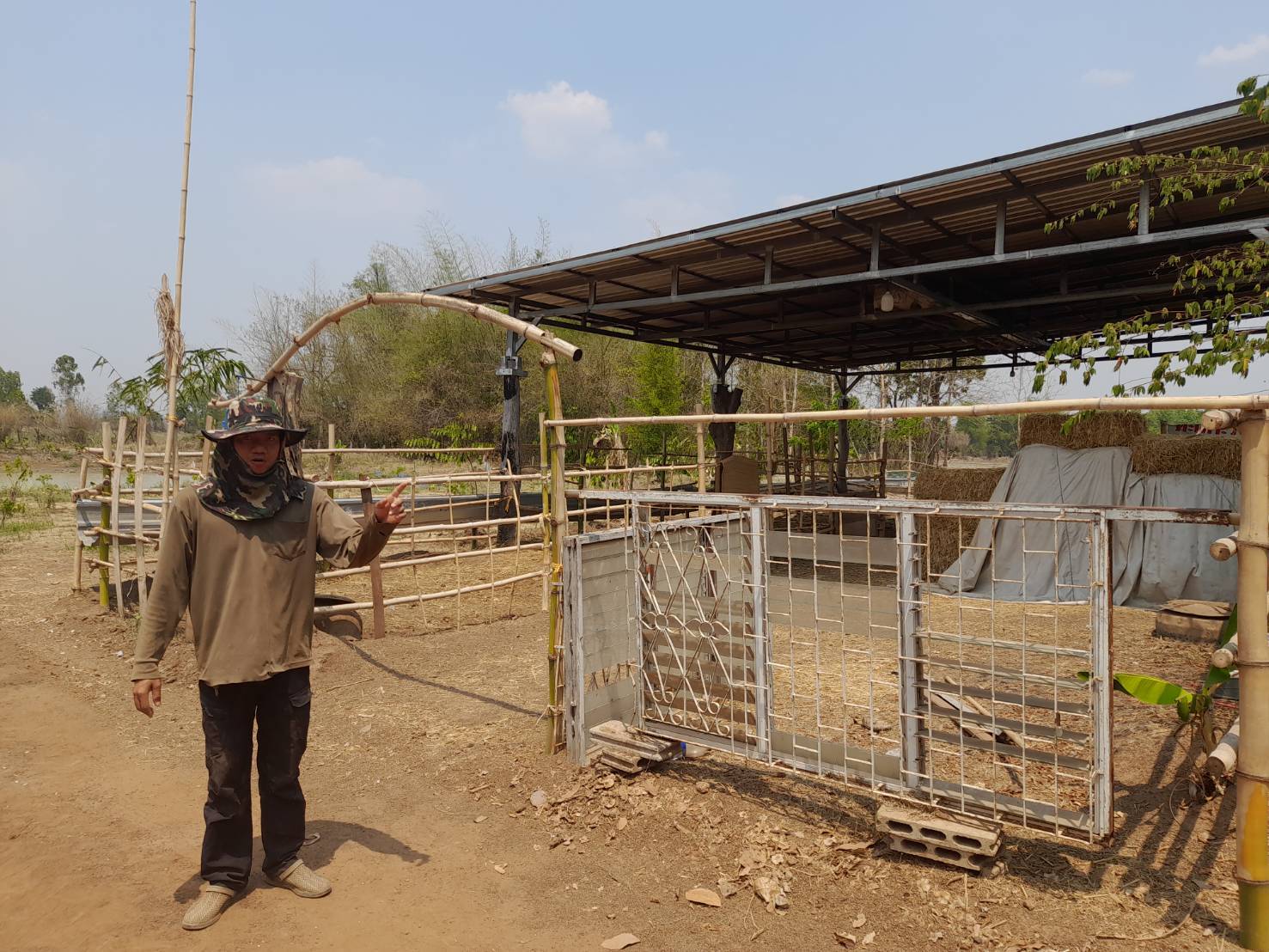 ออกตรวจเยี่ยม ศพก.เครือข่าย นายณัฐพงศ์ ป้านภูมิ หมู่ที่ 4 ตำบลสุวรรณคูหา