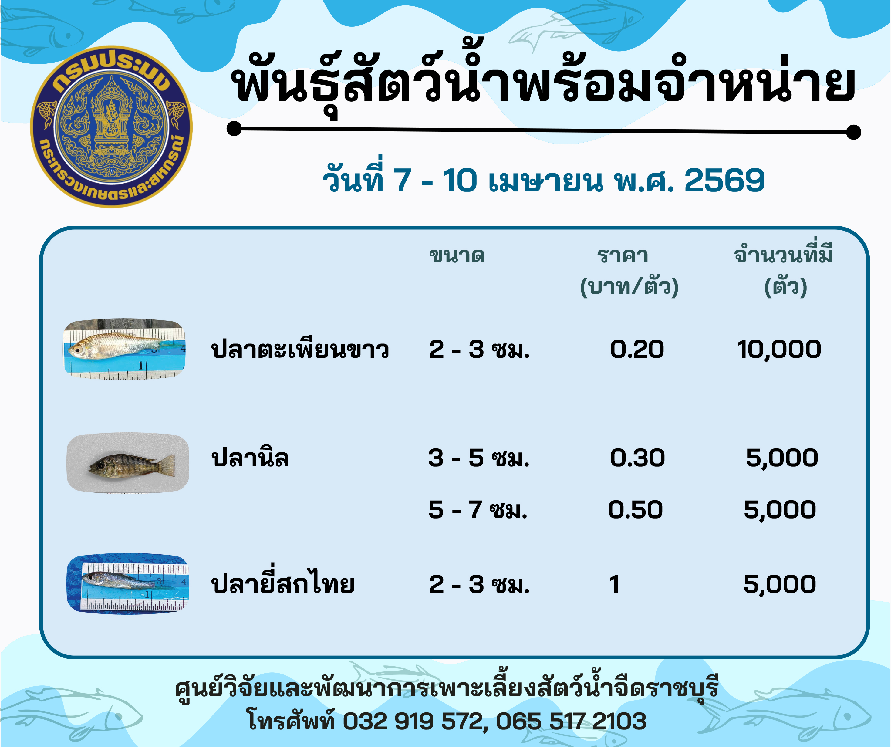 ลูกพันธุ์สัตว์น้ำพร้อมจำหน่ายสัปดาห์นี้ วันที่ 7 - 10 เมษายน พ.ศ. 2569