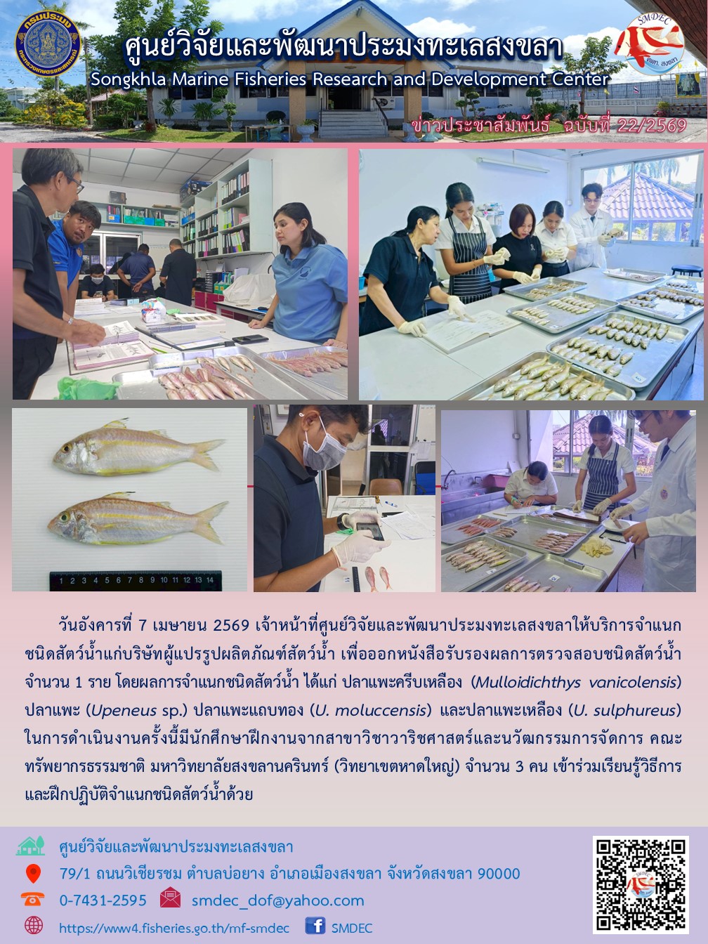 วันอังคารที่ 7 เมษายน 2569 เจ้าหน้าที่ศูนย์วิจัยและพัฒนาประมงทะเลสงขลาให้บริการจำแนกชนิดสัตว์น้ำแก่บริษัทผู้แปรรูปผลิตภัณฑ์สัตว์น้ำ เพื่อออกหนังสือรับรองผลการตรวจสอบชนิดสัตว์น้ำ จำนวน 1 ราย โดยผลการจำแนกชนิดสัตว์น้ำ..คลิก
