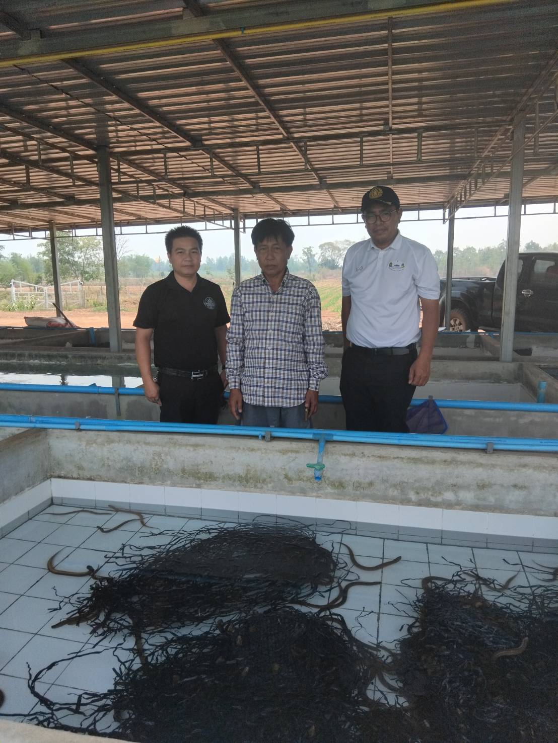 ตรวจติดตามฟาร์มปลาไหล เนื่องจากพบปัญหาปลาตาย..คลิก