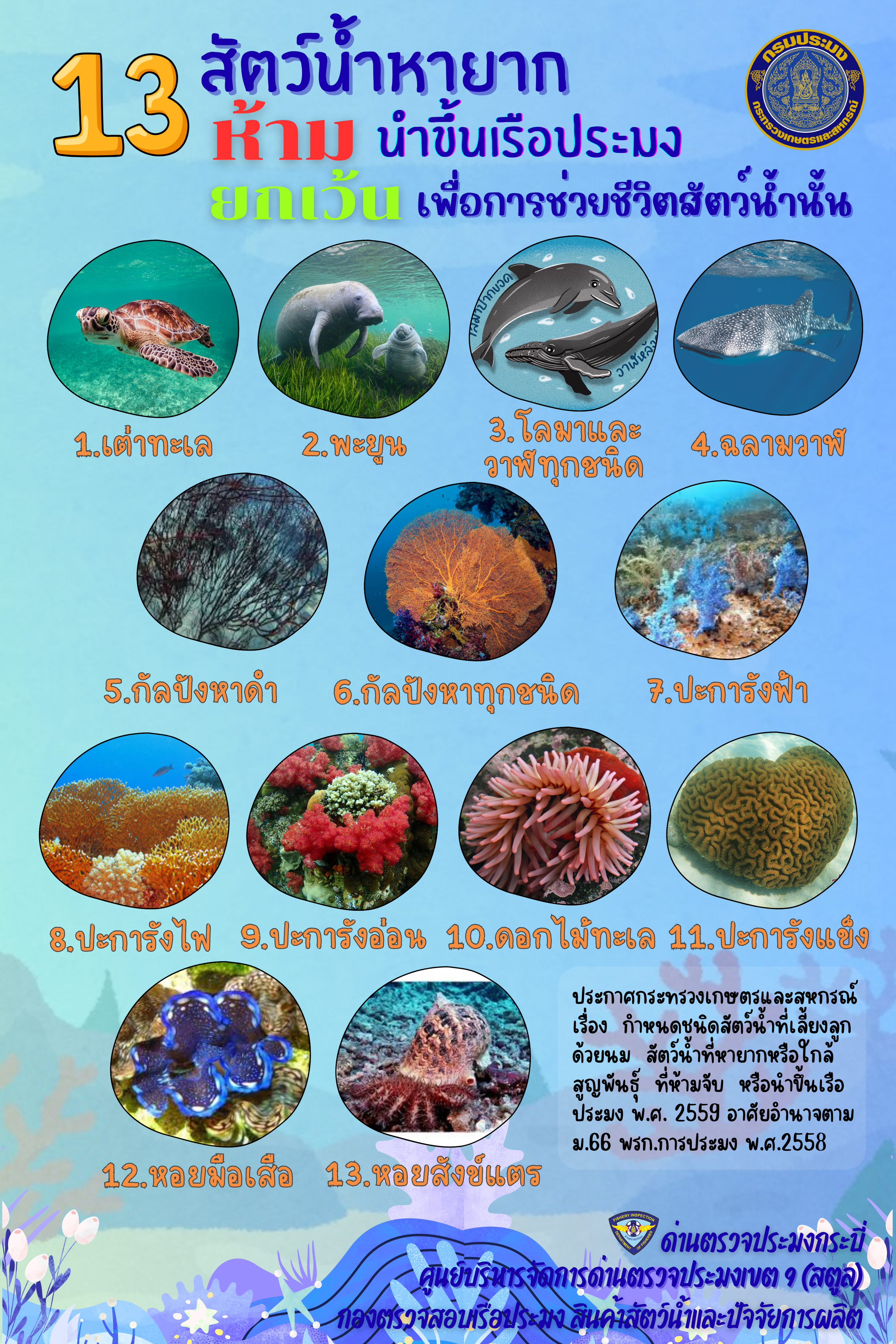 กรมประมงขอประชาสัมพันธ์ 13 สัตว์น้ำหายาก ห้ามนำขึ้นเรือประมง ยกเว้นเพียงกรณี ช่วยชีวิต เท่านั้น..คลิก