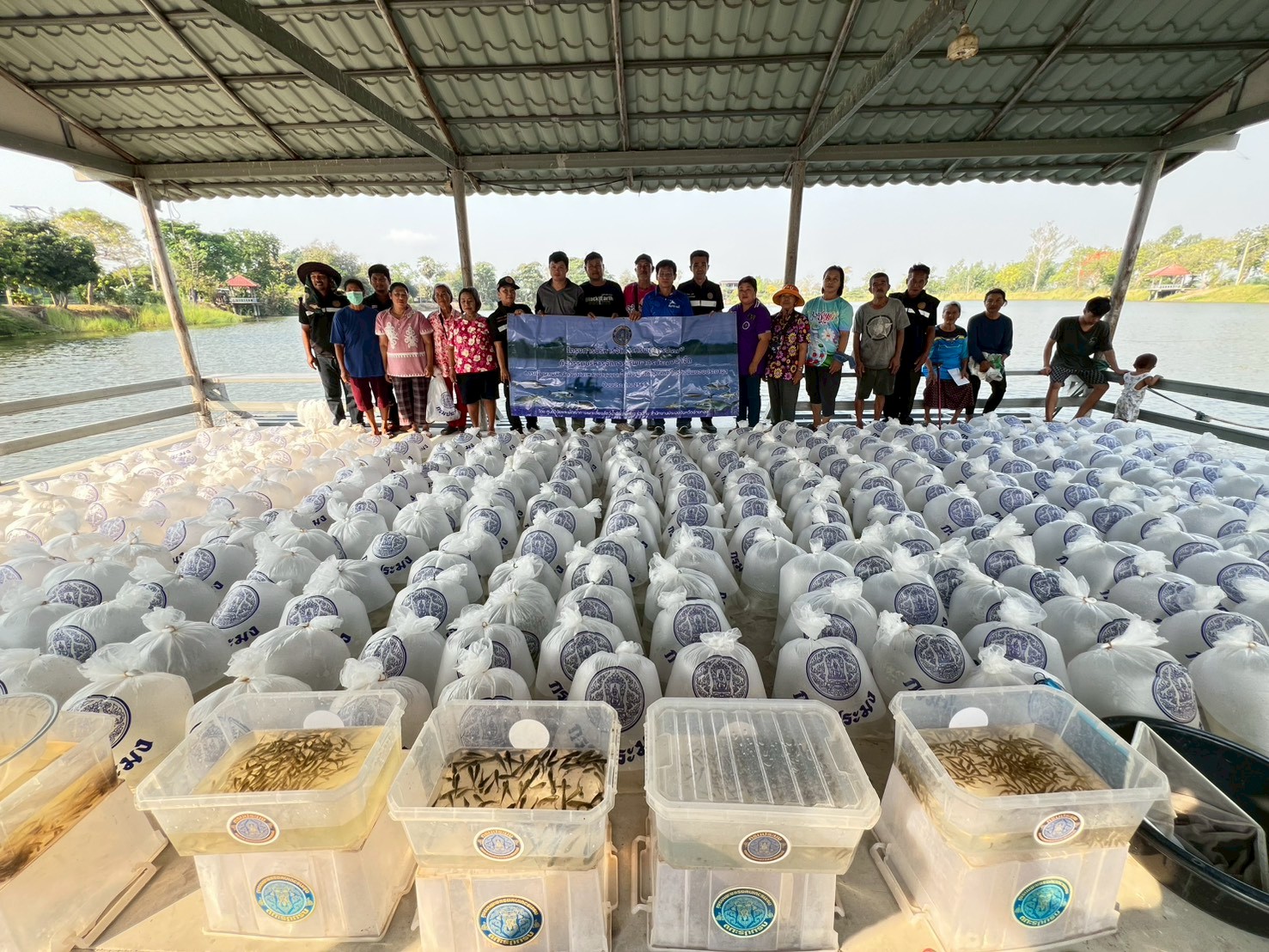 ร่วมปล่อยพันธุ์สัตว์น้ำเศรษฐกิจ ณ แหล่งน้ำชุมชน ทั้ง 3 แห่ง ในจังหวัดอ่างทอง