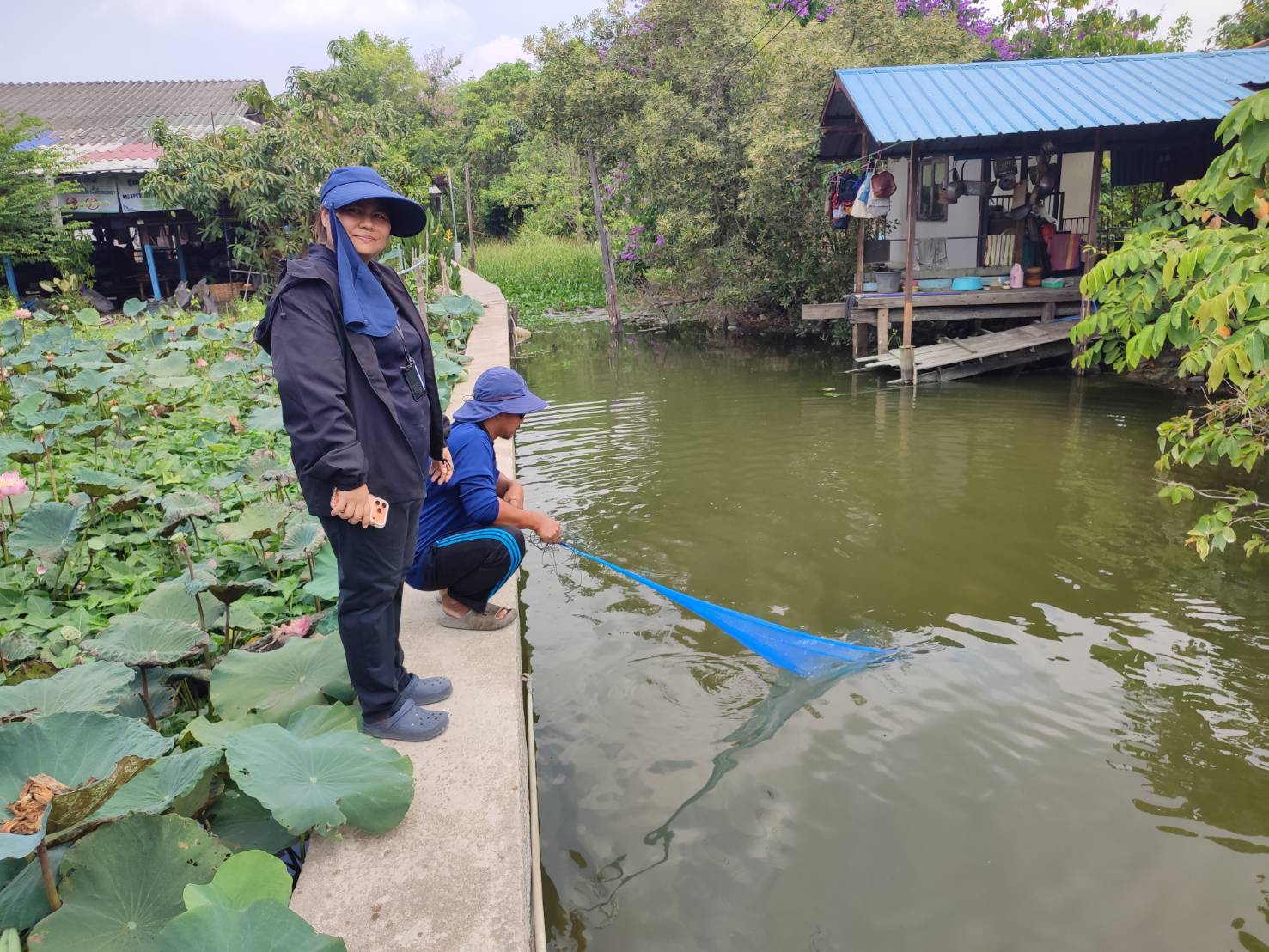 (อ.บางกรวย) การสำรวจปลาหมอคางดำ ตามแผนการแก้ไขปัญหาการแพร่ระบาดของปลาหมอคางดำจังหวัดนนทบุรี