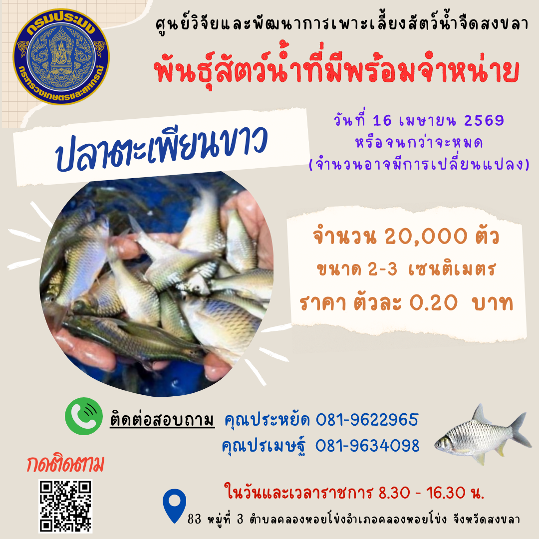 พันธุ์สัตว์น้ำพร้อมจำหน่าย