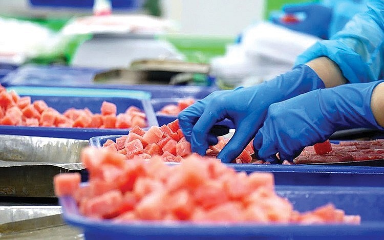 คาดว่าทูน่าที่ส่งออกไปยังญี่ปุ่นจะเพิ่มขึ้นในช่วงต้นปี 2569 แต่ยังคงมีอุปสรรคนานัปการ