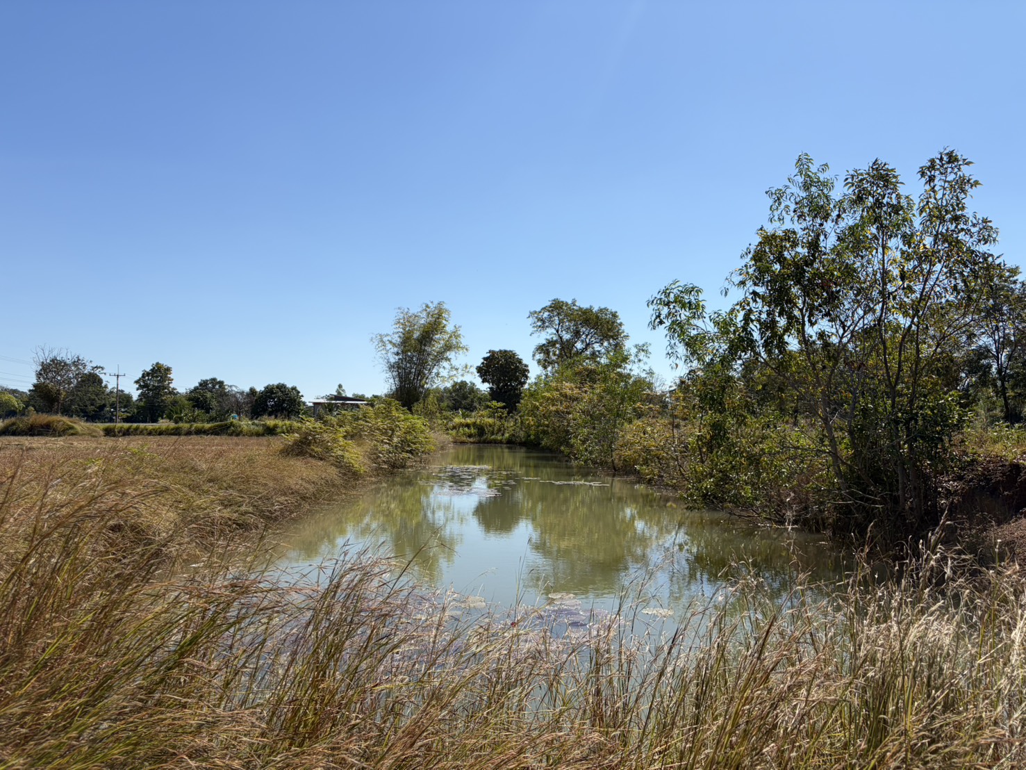 “ประมงศรีสะเกษ ลงพื้นที่โครงการศูนย์เรียนรู้การเพิ่มประสิทธิภาพการผลิตสินค้าเกษตร (ศพก.) ประจำปีงบประมาณ พ.ศ.2569”..คลิก