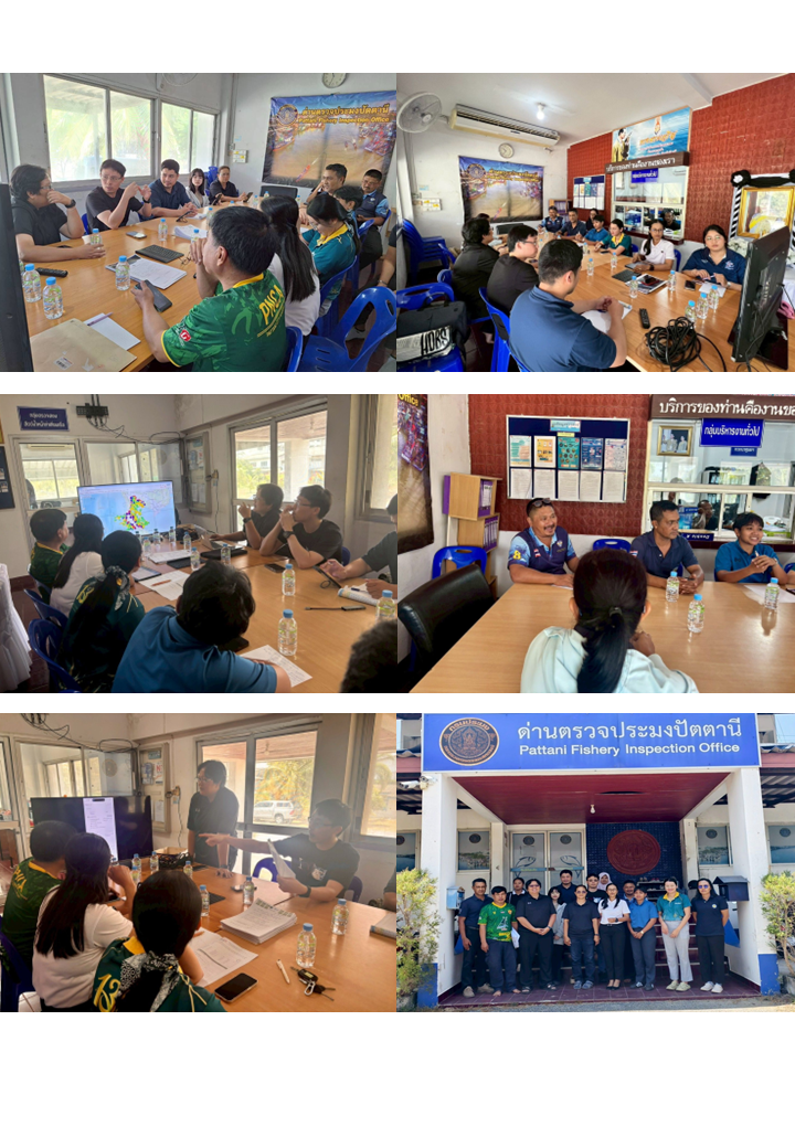 ในวันที่ 22 เมษายน 2569 เจ้าหน้าที่จากกองบริหารจัดการเรือประมงและทำการประมงได้เข้าซักซ้อมและบรรยายให้ความรู้กับเจ้าหน้าที่ด่านตรวจประมงปัตตานีเพิ่มเติมเกี่ยวกับการใช้ แอพพลิเคชั่น fisheries next สำหรับการถ่ายทอดองค์ความรู้ให้กับชาวประมงในพื้นที่ปัตตานี ประโยชน์เพื่อให้เกิดความสะดวก ความคล่องตัว รวดเร็ว และเป็นกลไกสำคัญในการสนับสนุน ทั้งในด้านการติดตั้งการเข้าใช้งาน การบริหารจัดการข้อมูลเรืออย่างครบถ้วน ..คลิก