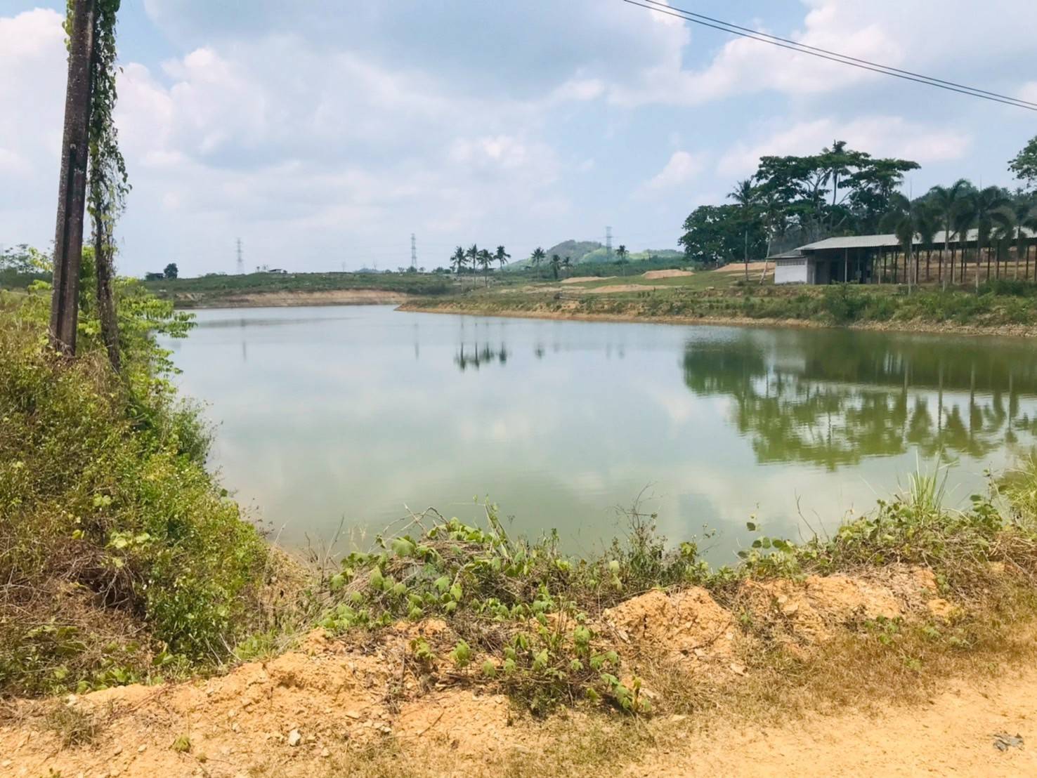 ปล่อยปลาหมอชุมพร จำนวน 3,000 ตัว..คลิก