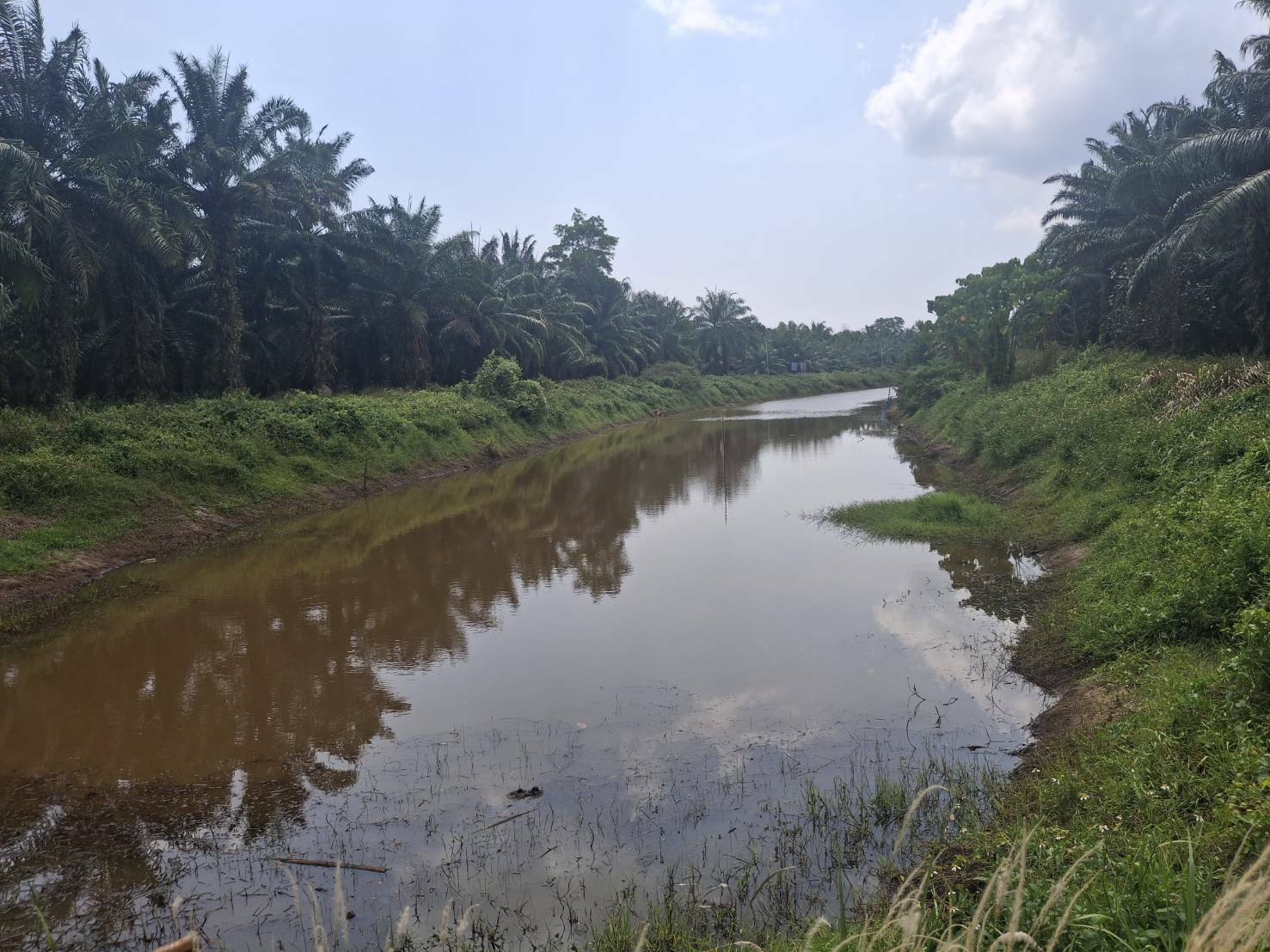 ปล่อยปลาหมอชุมพร จำนวน 3,000 ตัว ภายใต้โครงการบริหารจัดการทรัพยากรประมง