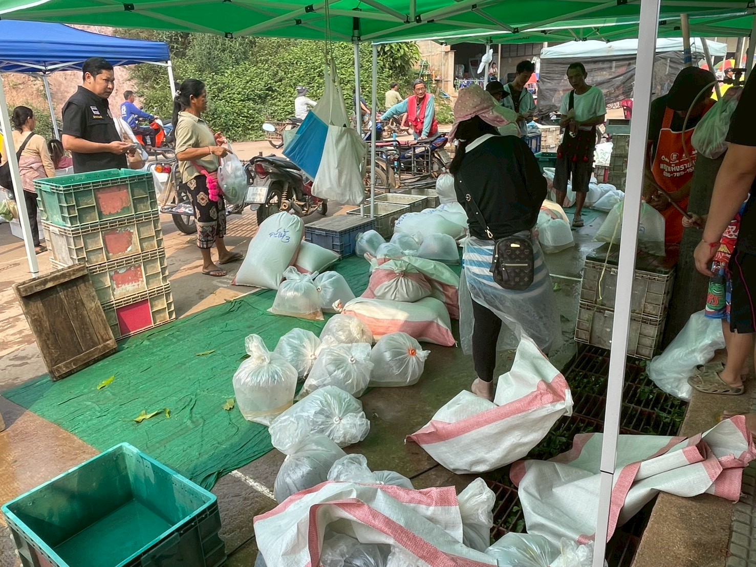 เจ้าหน้าที่ศูนย์บริหารจัดการด่านตรวจประมงเขต 1 (เชียงราย) ตรวจป้องกันการลักลอบนำเข้า ส่งออก สินค้าสัตว์น้ำพื้นที่อำเภอเชียงของ จังหวัดเชียงราย