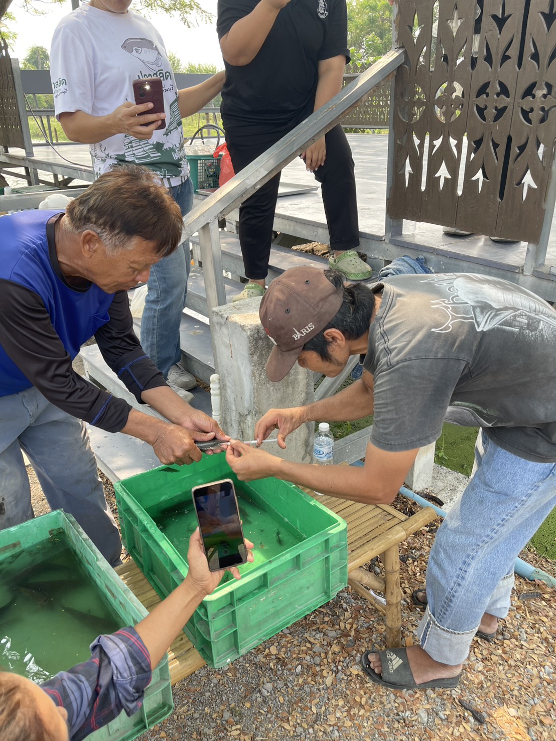 รูป ประกอบบทความ10