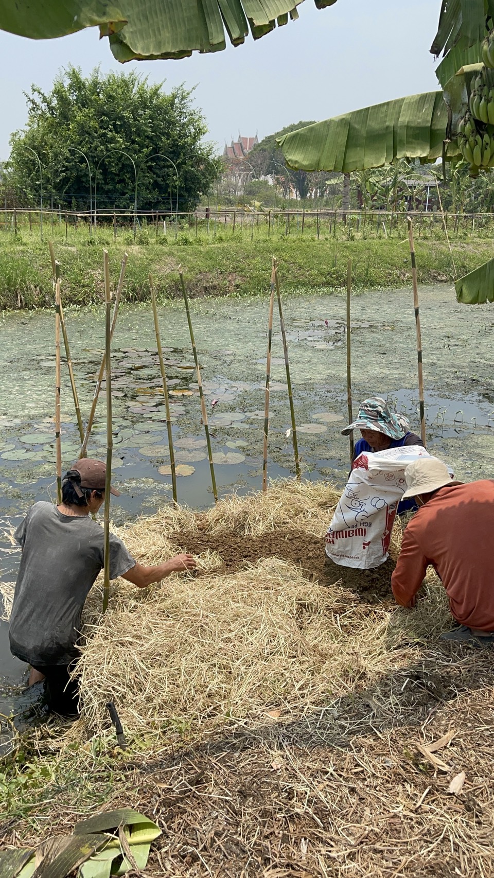 รูป ประกอบบทความ11