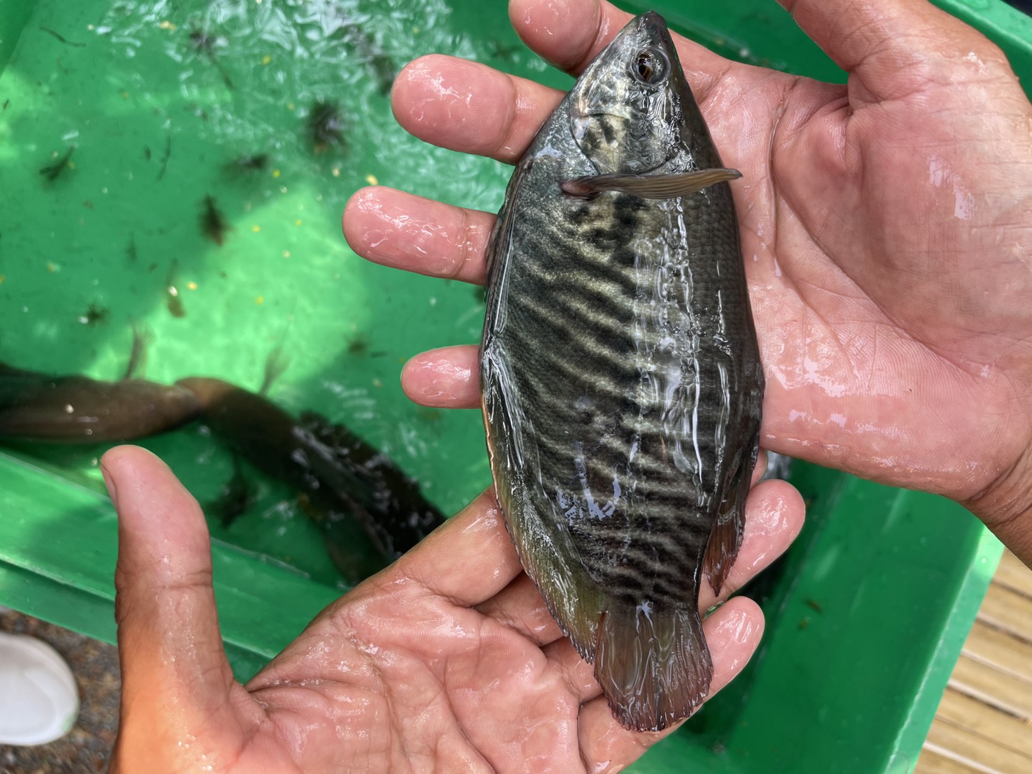 รูป ประกอบบทความ3