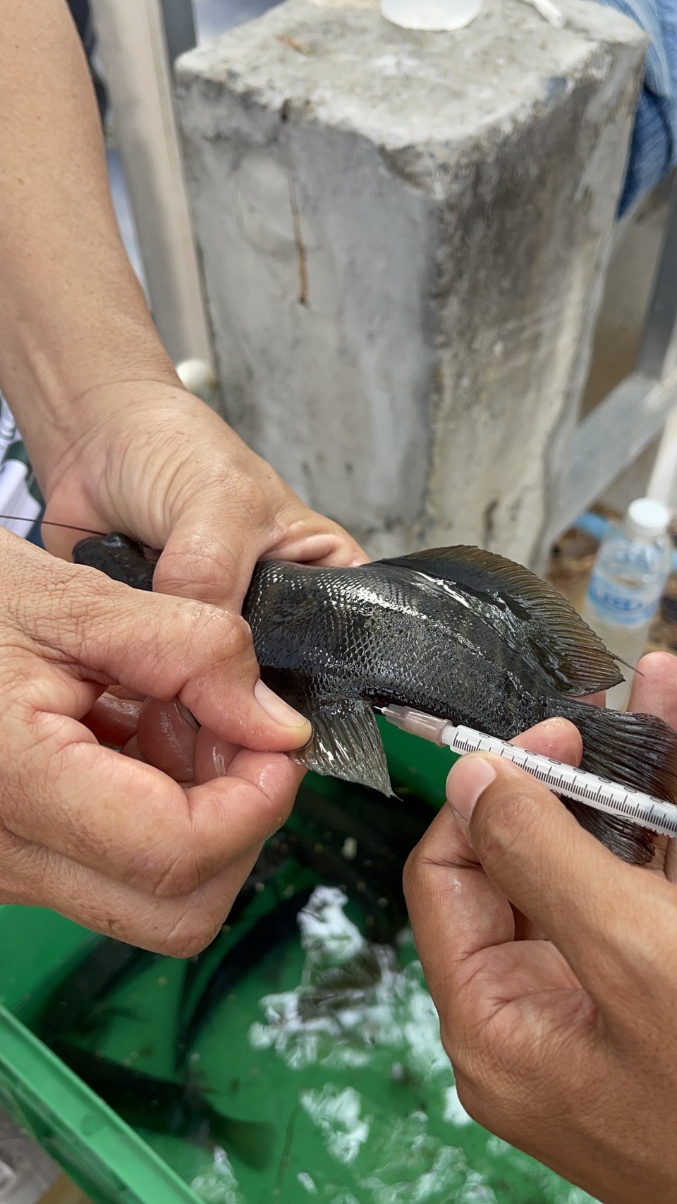 รูป ประกอบบทความ7