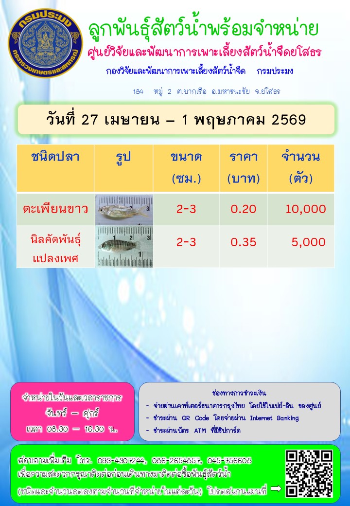 ลูกพันธุ์สัตว์น้ำพร้อมจำหน่าย 27 เม.ย. - 1 พ.ค. 2569..คลิก