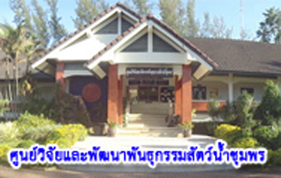 ศูนย์วิจัยและพัฒนาพันธุกรรมสัตว์น้ำชุมพร..คลิก