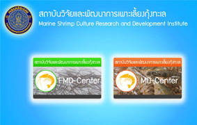 FMD/MD Center..คลิก