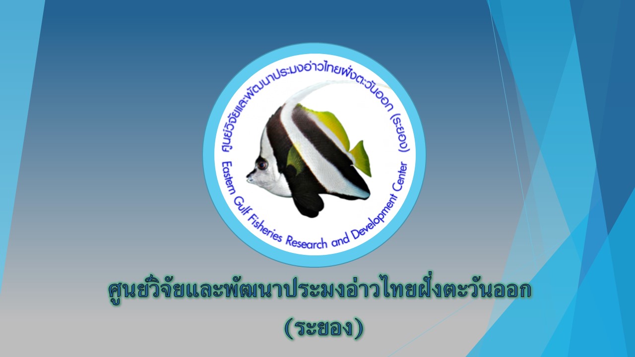 ศูนย์วิจัยและพัฒนาประมงทะเลระยอง..คลิก