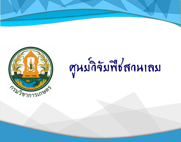ศูนย์วิจัยพืชสวนเลย..คลิก