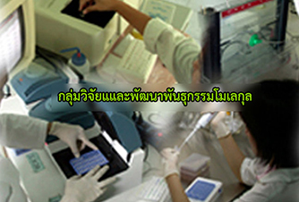 กลุ่มวิจัยและพัฒนาพันธุกรรมโมเลกุล..คลิก