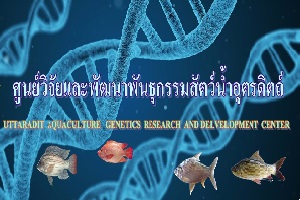 ศูนย์วิจัยและพัฒนาพันธุกรรมสัตว์น้ำอุตรดิตถ์..คลิก