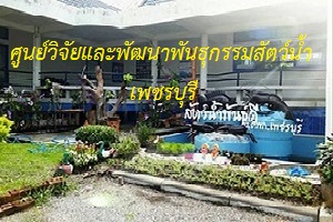 ศูนย์วิจัยและพัฒนาพันธุกรรมสัตว์น้ำเพชรบุรี..คลิก