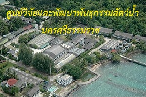 ศูนย์วิจัยและพัฒนาพันธุกรรมสัตว์น้ำนครศรีธรรมราช..คลิก