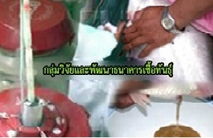 กลุ่มวิจัยและพัฒนาธนาคารเชื้อพันธุ์..คลิก