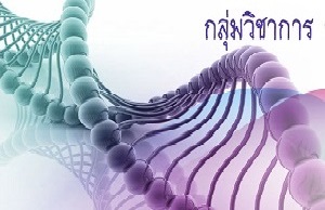 กลุ่มวิชาการ..คลิก