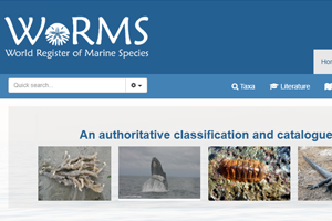 World Register of Marine Species..คลิก