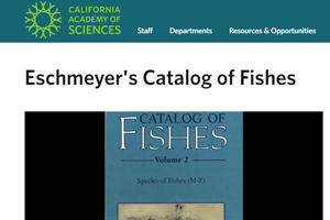 Catalog of Fishes..คลิก
