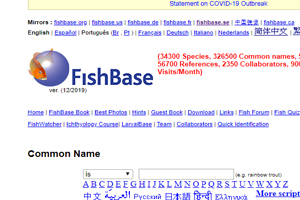 FISHBASE..คลิก