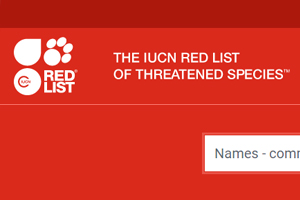 the IUCN Red List of Threatened species ..คลิก