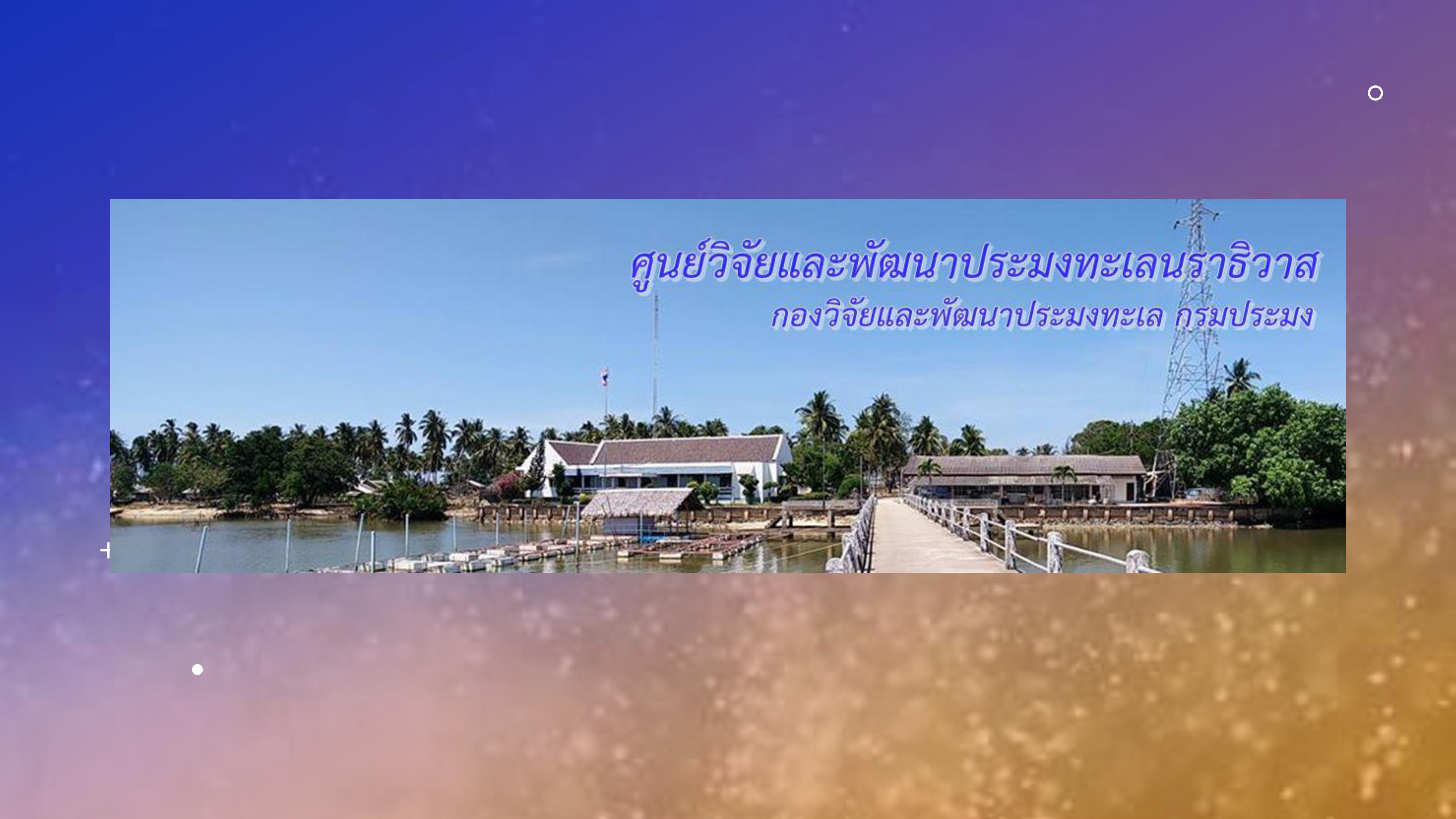 ศูนย์วิจัยและพัฒนาประมงทะเลนราธิวาส..คลิก