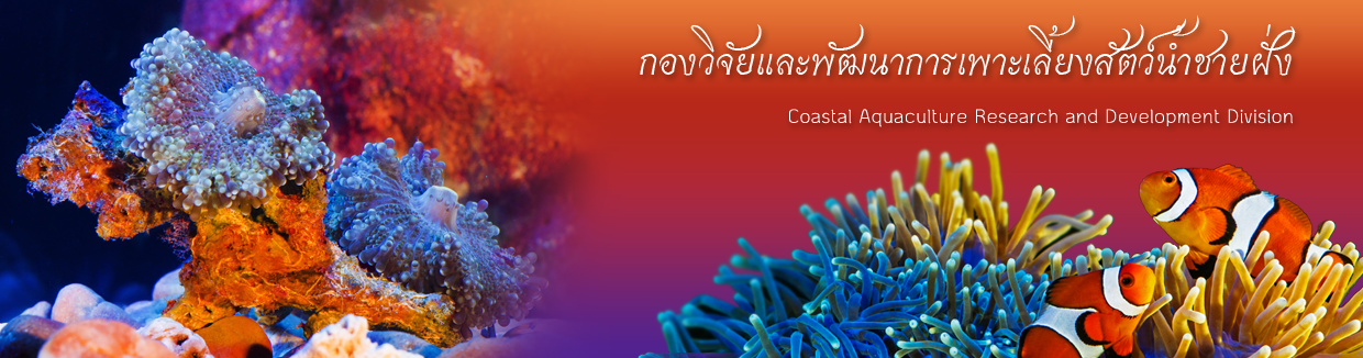 กองวิจัยและพัฒนาการเพาะเลี้ยงสัตวฺ์น้ำชายฝั่ง..คลิก