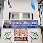 ด่านตรวจประมงกระบี่..คลิก
