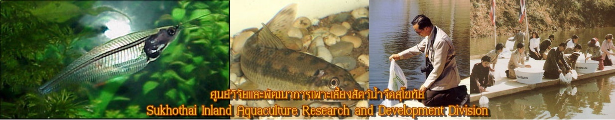 ศูนย์วิจัยการเพาะเลี้ยงสัตว์น้ำจืดสุโขทัย..คลิก