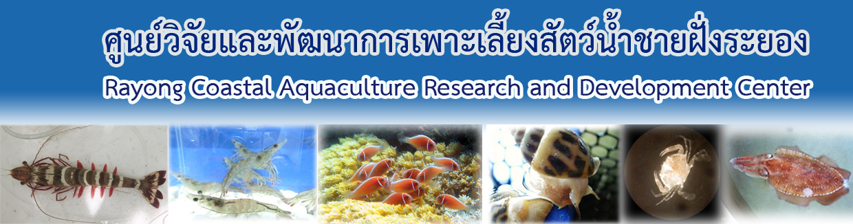 ศูนย์วิจัยและพัฒนาการเพาะเลี้ยงน้ำชายฝั่งระยอง..คลิก