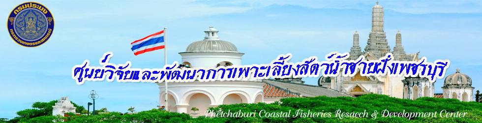 ศูนย์วิจัยและพัฒนาการเพาะเลี้ยงน้ำชายฝั่งเพชรบุรี..คลิก