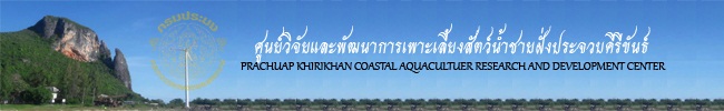 ศูนย์วิจัยและพัฒนาการเพาะเลี้ยงน้ำชายฝั่งประจวบคีรีขันธ์..คลิก