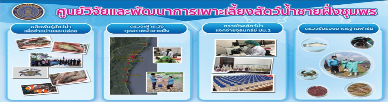 ศูนย์วิจัยและพัฒนาการเพาะเลี้ยงน้ำชายฝั่งชุมพร..คลิก