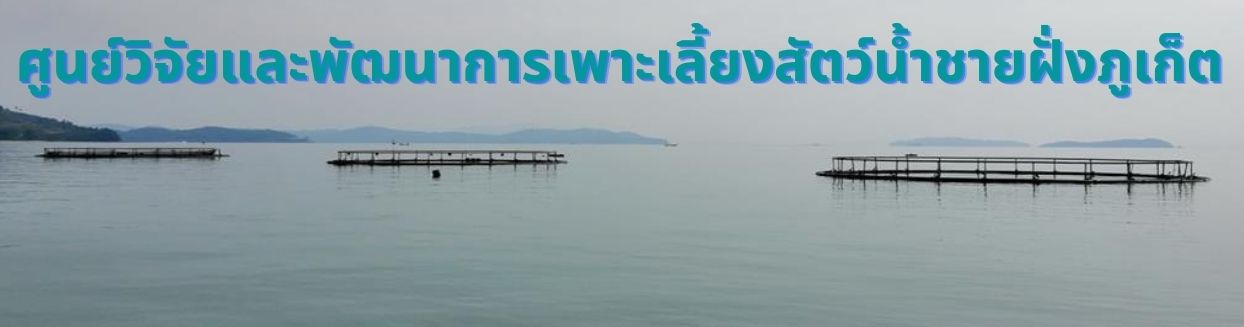 ศูนย์วิจัยและพัฒนาการเพาะเลี้ยงน้ำชายฝั่งภูเก็ต..คลิก