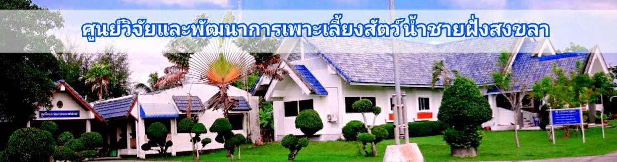ศูนย์วิจัยและพัฒนาการเพาะเลี้ยงน้ำชายฝั่งสงขลา..คลิก