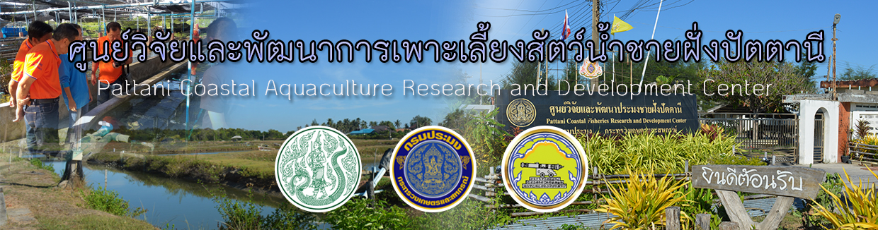 ศูนย์วิจัยและพัฒนาการเพาะเลี้ยงน้ำชายฝั่งปัตตานี..คลิก