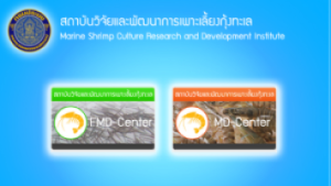 สถาบันวิจัยและพัฒนาการเพาะเลี้ยงกุ้งทะเล..คลิก