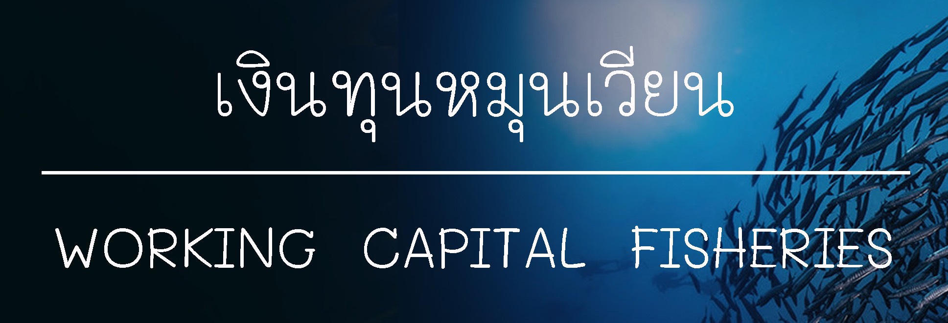เงินทุนหมุนเวียน..คลิก