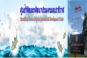 ศูนย์วิจัยและพัฒนาการเพาะเลี้ยงน้ำชายฝั่งนราธิวาส..คลิก