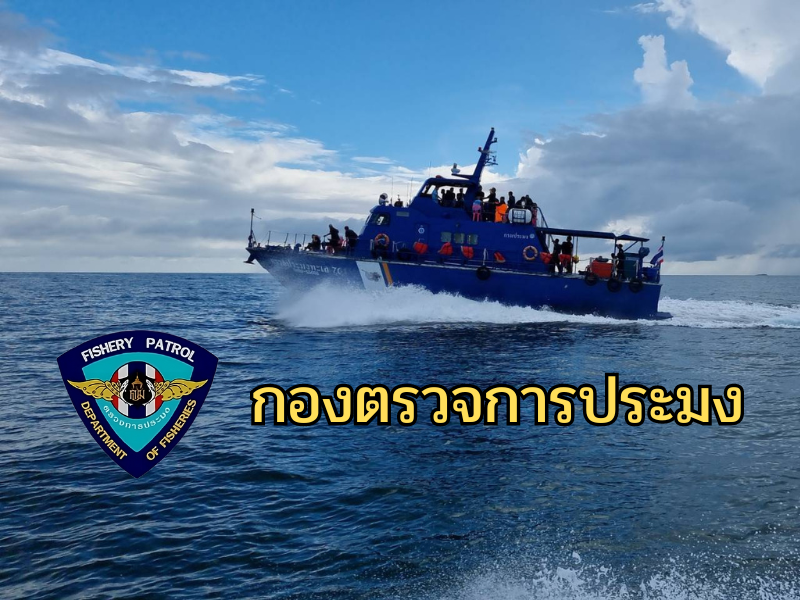 กองตรวจการประมง..คลิก